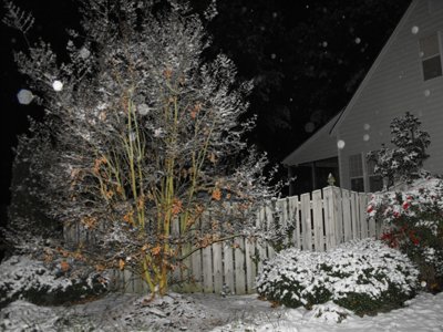 ./2010/Snow/thumbSnow